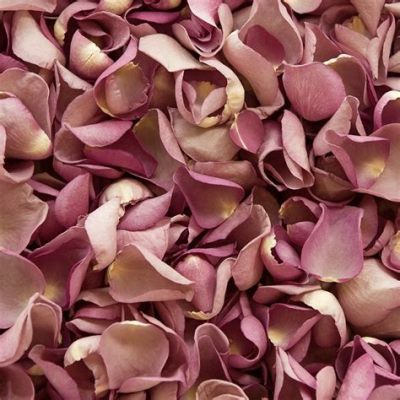 Are Flowers Compostable? Exploring the Petals of Decomposition