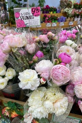 How Much Are Flowers at Trader Joe's: A Blooming Discussion on Value and Variety